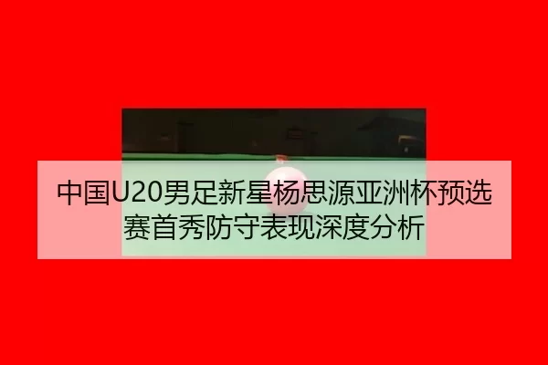 zhong-guo-nan-zu-xin-xing-yang-si-yuan-ya-zhou-bei-yu-xuan-sai-shou-xiu-fang-shou-biao-xian-shen-du-fen-xi-2-859.jpg