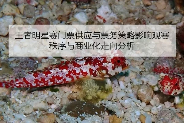 wang-zhe-ming-xing-sai-men-piao-gong-ying-yu-piao-wu-ce-lve-ying-xiang-guan-sai-zhi-xu-yu-shang-ye-hua-zou-xiang-fen-xi-2-955.jpg