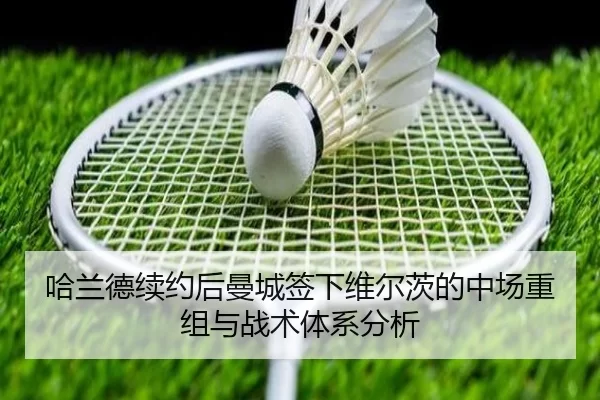 ha-lan-de-xu-yue-hou-man-cheng-qian-xia-wei-er-ci-de-zhong-chang-chong-zu-yu-zhan-shu-ti-xi-fen-xi-2-804.jpg