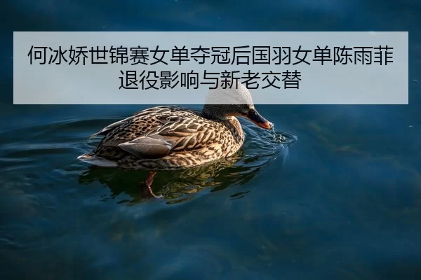 何冰娇世锦赛女单夺冠后国羽女单陈雨菲退役影响与新老交替